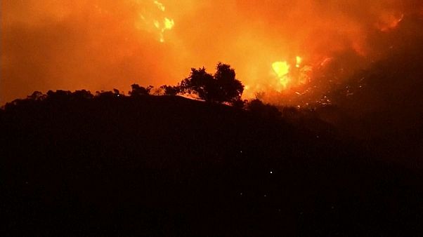 Waldbrände: Über 185.000 Kalifornier fliehen Waldbrände: Über 185.000 Kalifornier fliehen