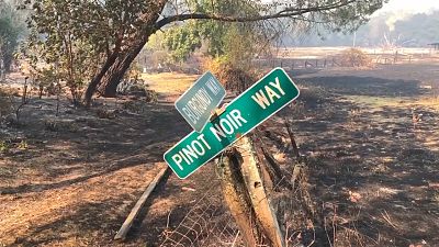 ویرانی تاکستان‌ها در آتش‌سوزی مهیب شمال کالیفرنیا