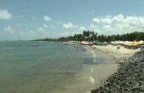 Csődbe dönti a brazil halászokat az olajszennyezés