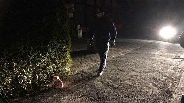 Almanya'da Türk camisinin inşaatına domuz kafası bırakıldı Almanya'da Türk camisinin inşaatına domuz kafası bırakıldı