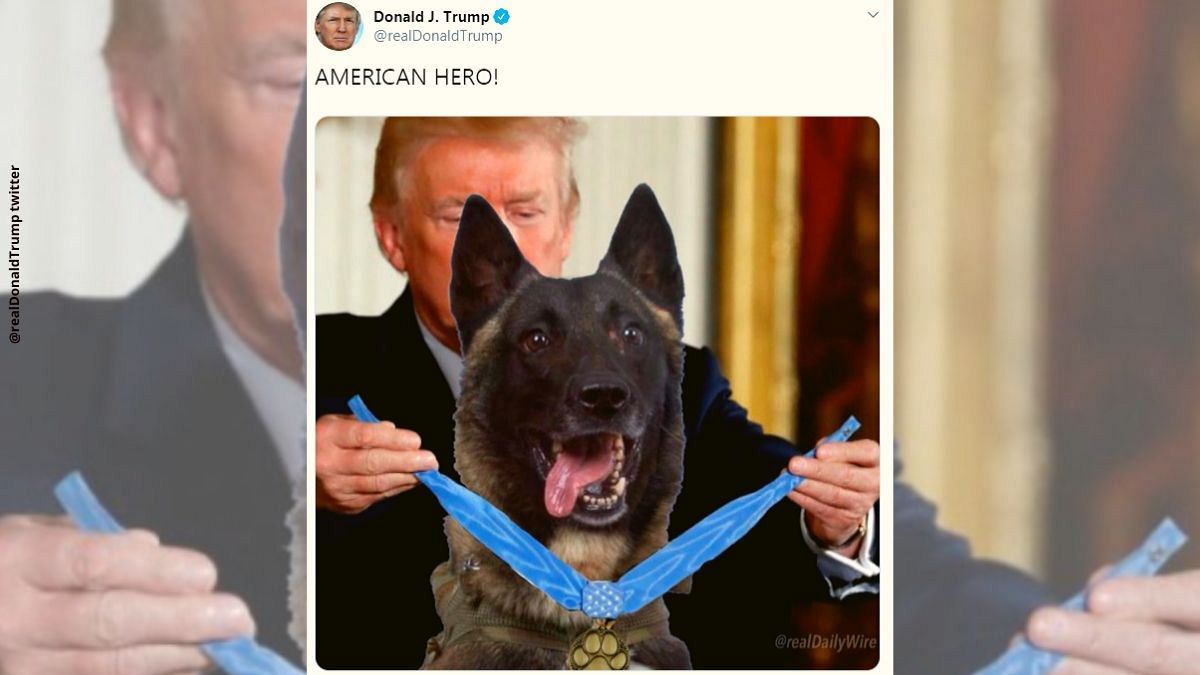 واکنش‌ها به عکس فتوشاپی «سگ قهرمان» در حال دریافت مدال از ترامپ