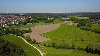 The farmers' climate case, backed by Greenpeace, will be heard in Berlin