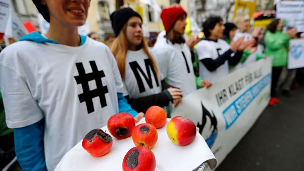 Demonstranten vor dem Gerichtsgebäude in Berlin: Die Folgen des Klimawandels bedrohten ihre Existenz, argumentierten die klagenden Landwirte. Demonstranten vor dem Gerichtsgebäude in Berlin: Die Folgen des Klimawandels bedrohten ihre Existenz, argumentierten die klagenden Landwirte.