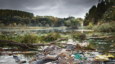 WATCH | Robots to clear plastic from 1000 rivers over 5 years