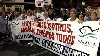 Manifestation en Espagne pour alerter sur l'urgence climatique de la Mar Menor