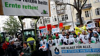 Il governo tedesco batte gli ambientalisti...in tribunale