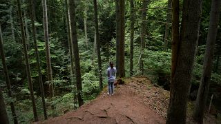 Woman in forest, living in a treehouse