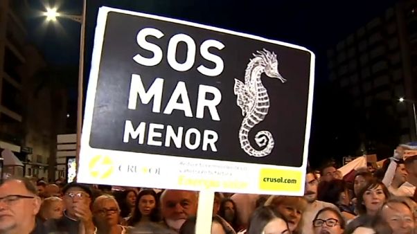 Spagna: inquinamento del Mar Menor, 50.000 persone protestano a Cartagena Spagna: inquinamento del Mar Menor, 50.000 persone protestano a Cartagena