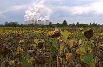 Nem perelhetik a kormányt a német biogazdák