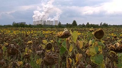 Nem perelhetik a kormányt a német biogazdák