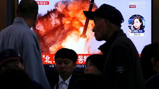 Kuzey Kore: Çoklu roketatar denemeleri başarılı oldu
