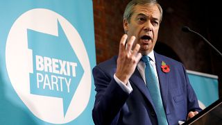 Nigel Farage, leader of the Brexit Party