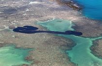 Βραζιλία: Πλοίο με ελληνική σημαία ύποπτο για την πρόκληση πετρελαιοκηλίδας