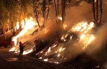 Incendi in California, evacuazioni a San Bernardino