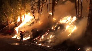Hundreds of firefighters battle new wildfire in California