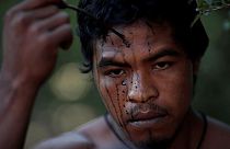 Kopfschuss: Illegale Holzfäller töten indigenen Waldschützer