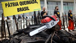 Çevre örgütü Greenpeace Amazonlar'daki yangınlardan dolayı Brezilya'da hükümeti protesto etti.