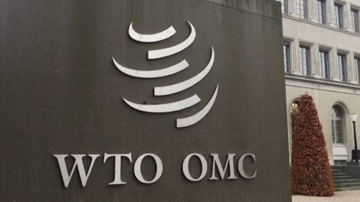 EU argues against US metal tariffs at WTO