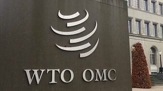 EU argues against US metal tariffs at WTO