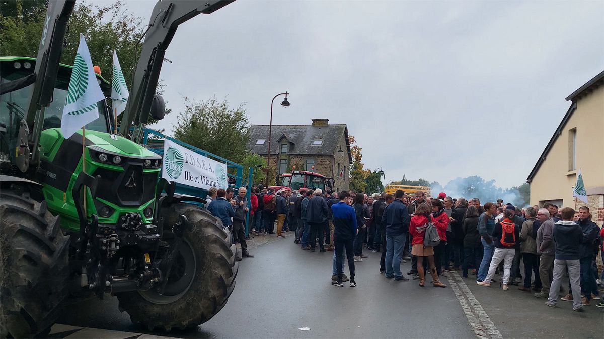 Cruzada contra uso de pesticidas em aldeias francesas