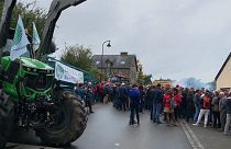 Cruzada contra uso de pesticidas em aldeias francesas