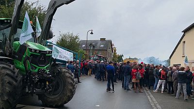 Bretagna: sfida agricoltori-cittadini sull'uso dei pesticidi