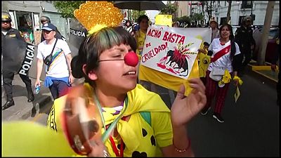 Peru'da yüzlerce kişi boğa güreşlerini protesto etti