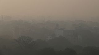 Нью-Дели надеется выйти из смога