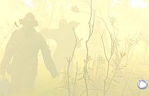 Brésil : le Pantanal en proie aux flammes 