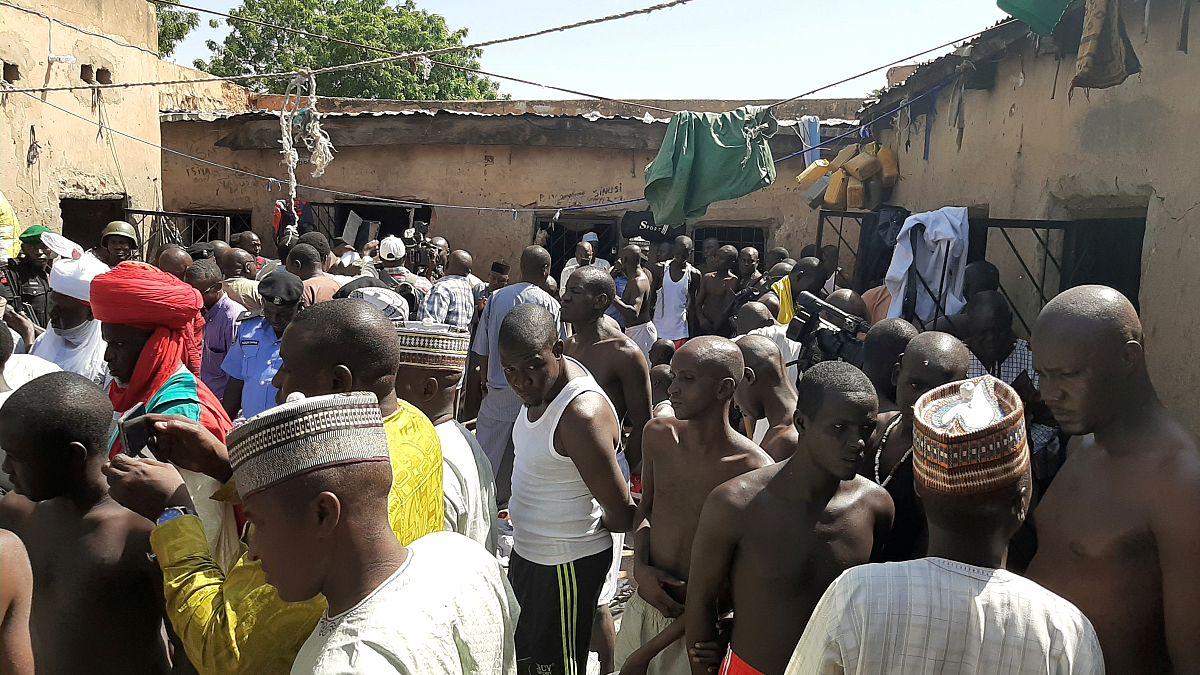 Nijerya'da son aylarda düzenlenen operasyonlarda yüzlerce kişi rehabilitasyon merkezlerinden kurtarıldı