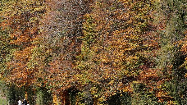 People hike during sunny autumn weather near Horgenberg, Switzerland People hike during sunny autumn weather near Horgenberg, Switzerland