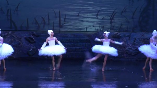 'El lago de los cisnes' con los pies en el agua 'El lago de los cisnes' con los pies en el agua