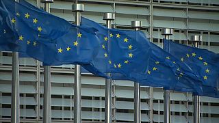 Avrupa Birliği 7 yıllık bütçe tahminini açıkladı: Brexit yüzünden üyelerin katkısı 8'de 1 artacak