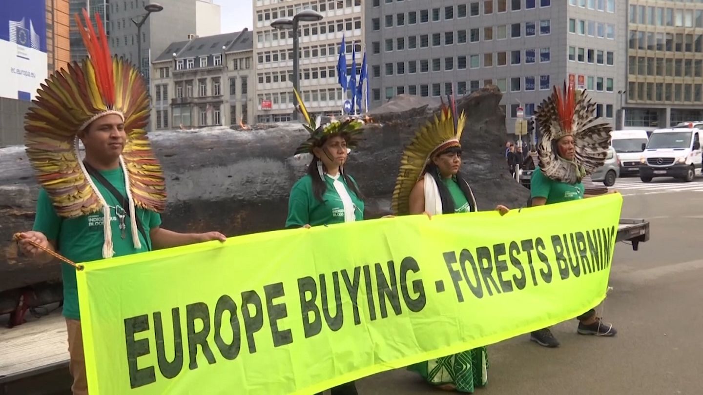 Indigenous Brazilians protest deforestation outside Euronews
