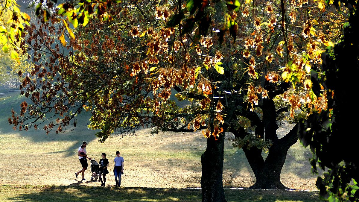 Fővárosi fiatalok sétálnak nyáriasan meleg napsütésben a Tabán közparkjának sárguló levelű fái alatt. 