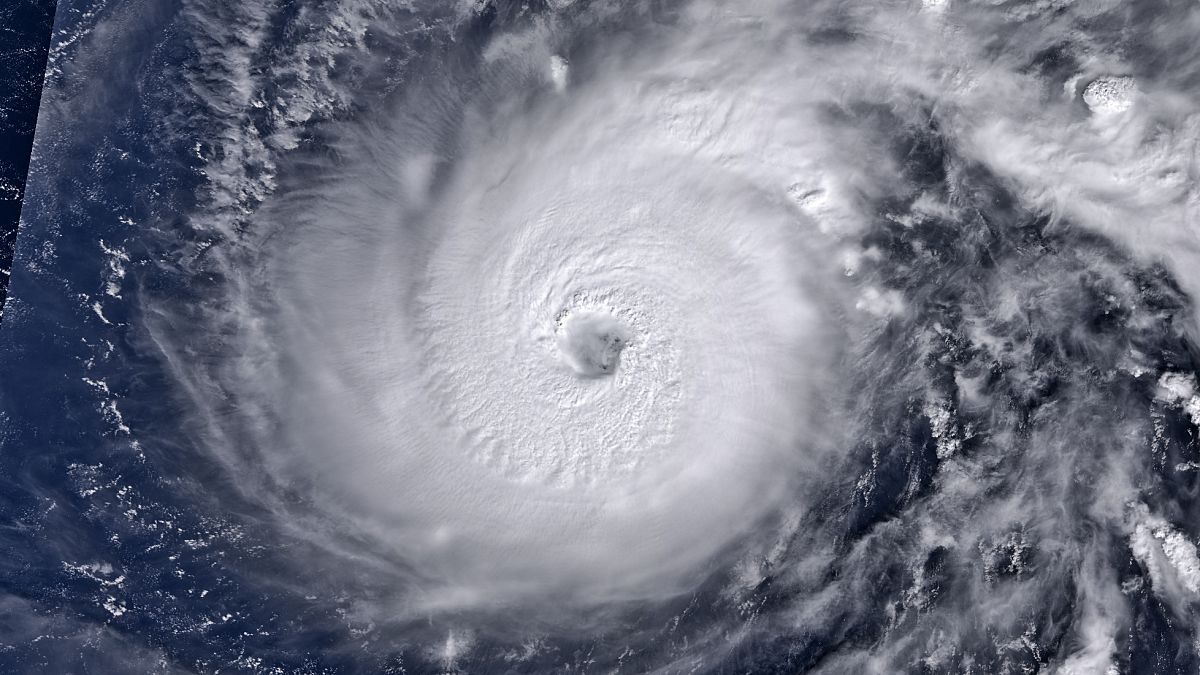 El tifón Halong en el Pacífico