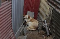 KÉPÜNK CSUPÁN ILLUSZTRÁCIÓ