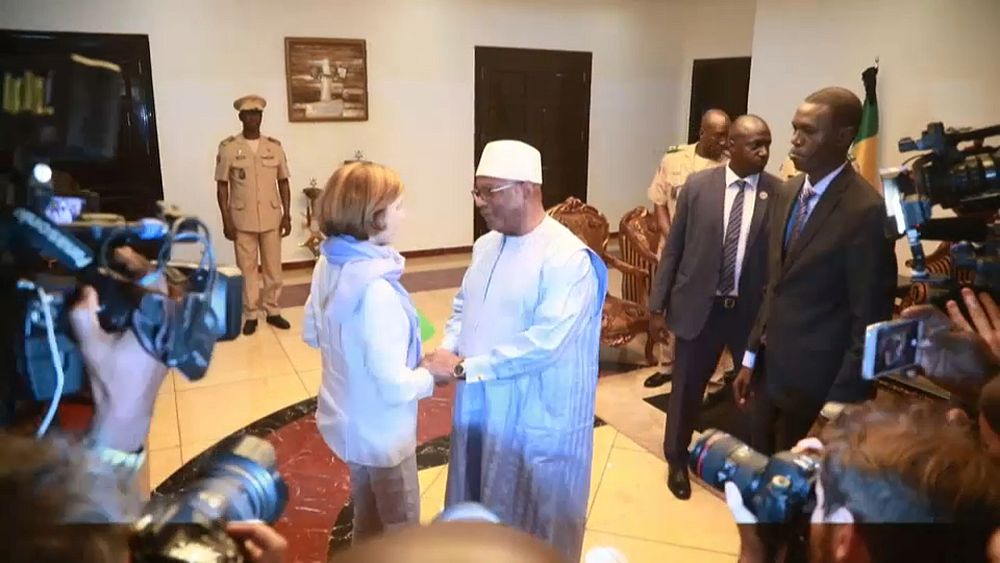 Sahel : Florence Parly promet des renforts européens