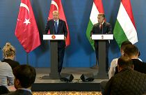 Erdogan busca apoyos estratégicos en Hungría 
