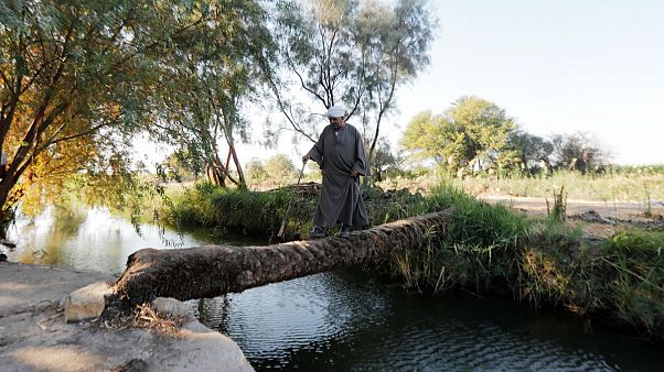 مزارع يسير في مزرعته بالقرب من قناة تصب في نهر النيل جنوب الأقصر، مصر، 27 أكتوبر 2019 مزارع يسير في مزرعته بالقرب من قناة تصب في نهر النيل جنوب الأقصر، مصر، 27 أكتوبر 2019