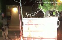 شاهد: إنقاذ دب ضخم علق في حاوية للنفايات في كاليفورنيا