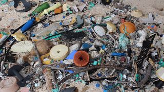  Naponta 13000 új szemétdarabot mos partra az óceán a lakatlan Henderson-szigeten. A hulladék 99,8 százaléka műanyag.