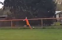 شاهد: لاعب كرواتي يواجه السجن بسبب ركلة كرة قدم قتلت دجاجة