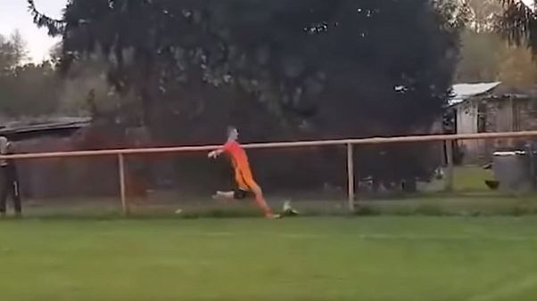 شاهد: لاعب كرواتي يواجه السجن بسبب ركلة كرة قدم قتلت دجاجة شاهد: لاعب كرواتي يواجه السجن بسبب ركلة كرة قدم قتلت دجاجة