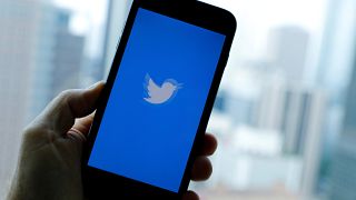 Twitter told investigators it immediately placed the alleged informants on gardening leave.