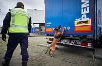 Dutch royal military police