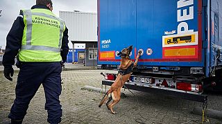 Dutch royal military police