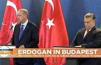 Turkey's Erdoğan booed by crowd in Budapest over Syria military incursion