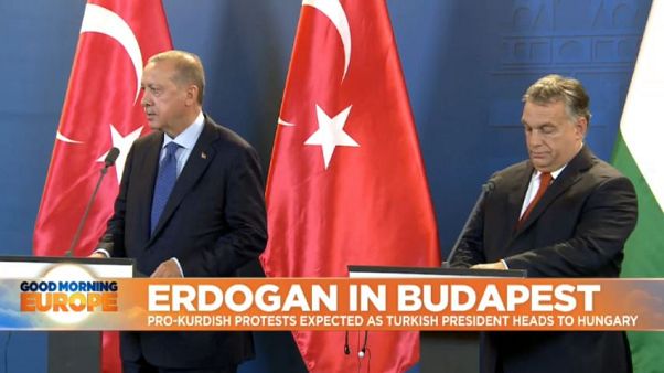 Turkey S Erdogan Booed By Crowd In Budapest Over Syria Military