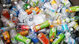 Plastik şişe atıkları